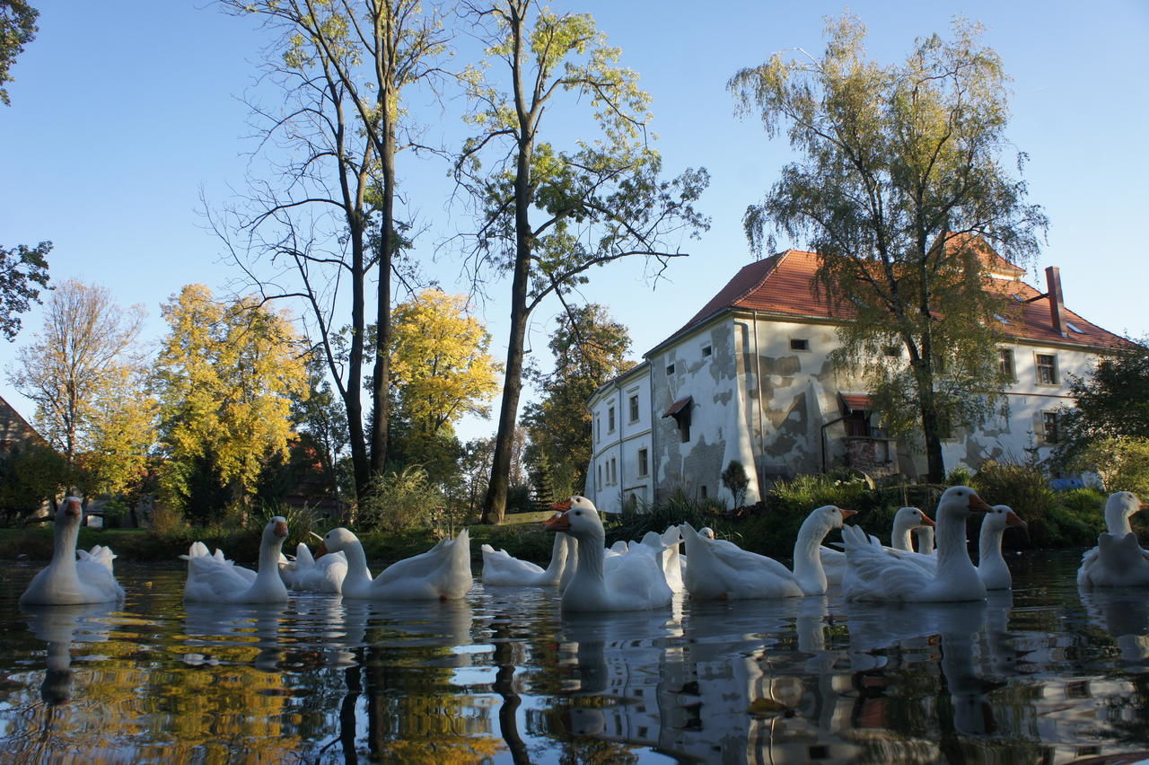 Загородные дома Piotrowice Nyskie Palace Отмухув