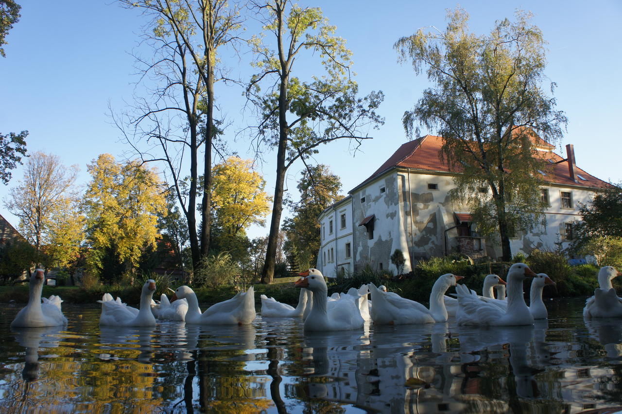 Загородные дома Piotrowice Nyskie Palace Отмухув-4